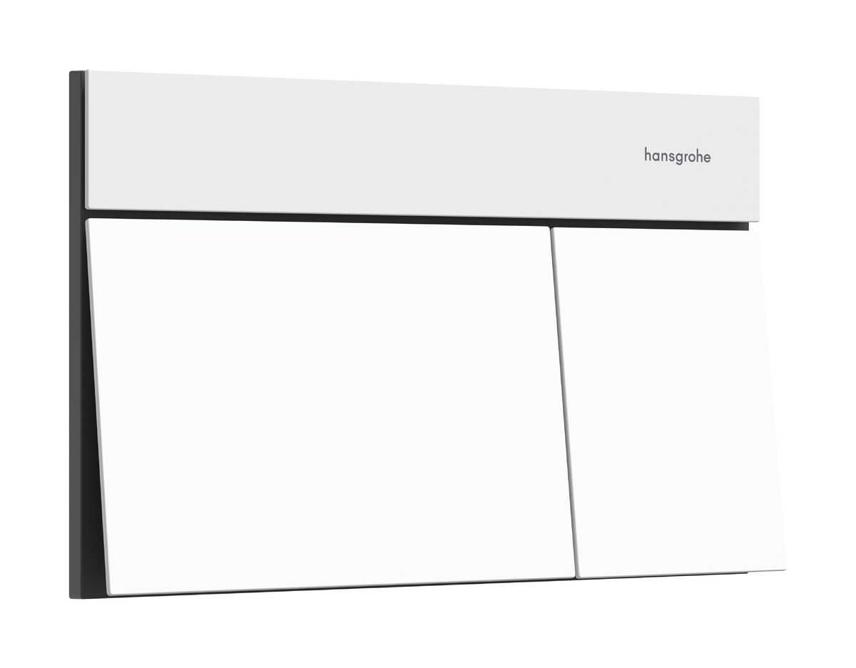 Змивна клавіша hansgrohe iFrame Element E 66003700, білий матовий - зображення